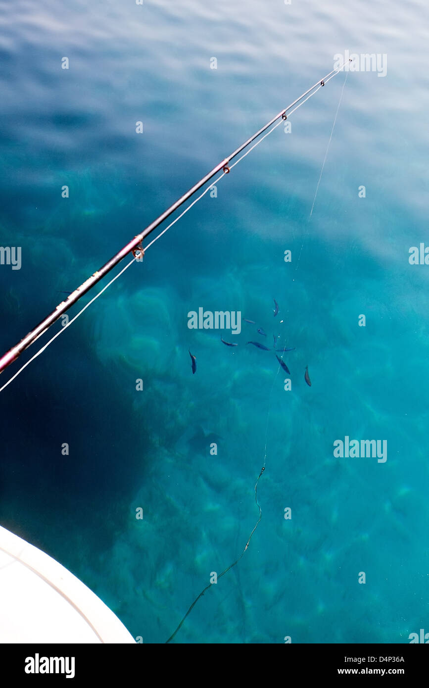 Angelrute über dem blauen Wasser Oberfläche und kleine Schwarze Fische laufen rund Haken Stockfoto