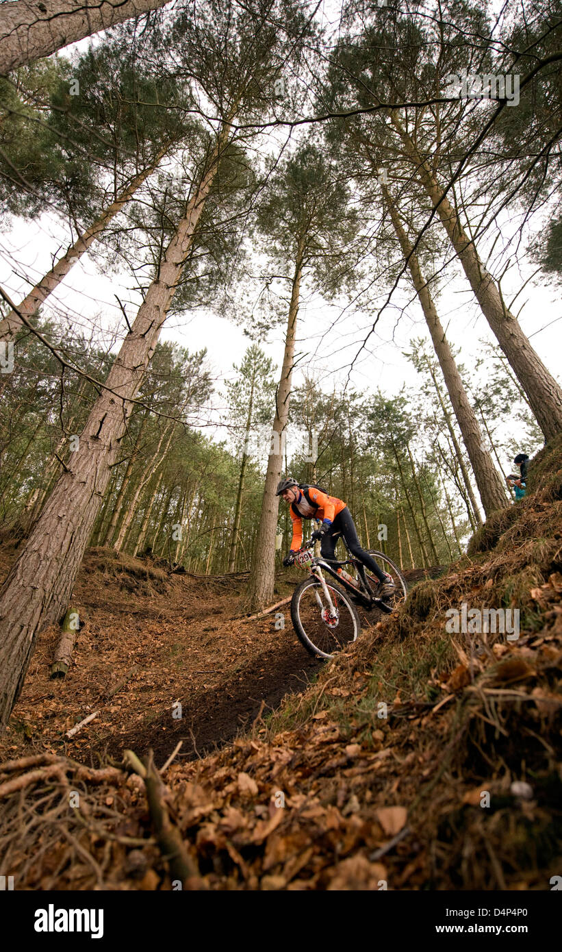 Mountainbike-Rennen in Cannock Chase Wald in der Nähe von Rugeley, Staffordshire, England. Stockfoto