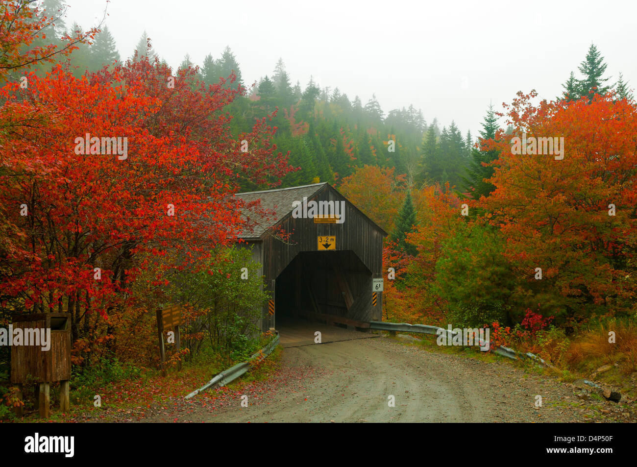 Fünfundvierzig bedeckt Brücke, Fundy National Park, New Brunswick, Kanada Stockfoto