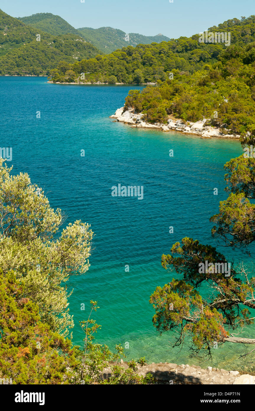 See Veliko, Mljet Nationalpark Mljet, Kroatien Stockfoto