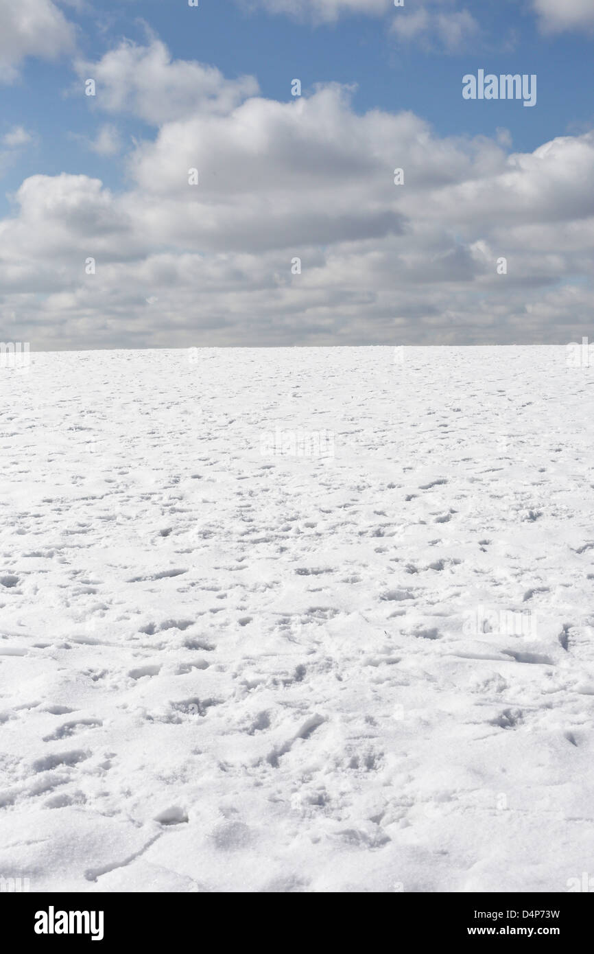 Einen verschneiten Hang bei bewölktem Himmel. Stockfoto
