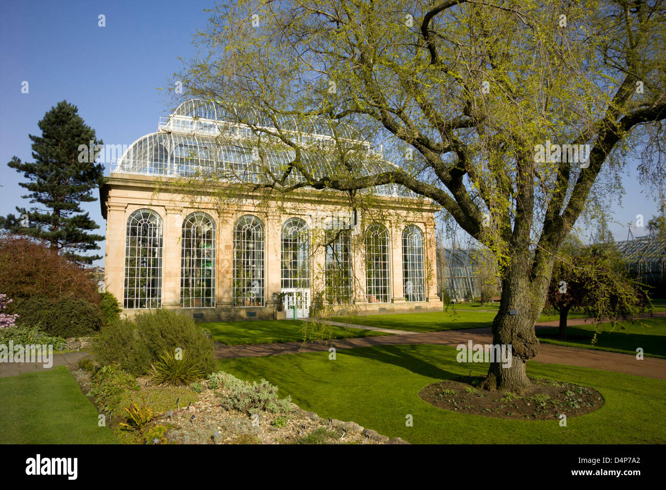 der Palm Haus royal Botanic garden Stockfoto