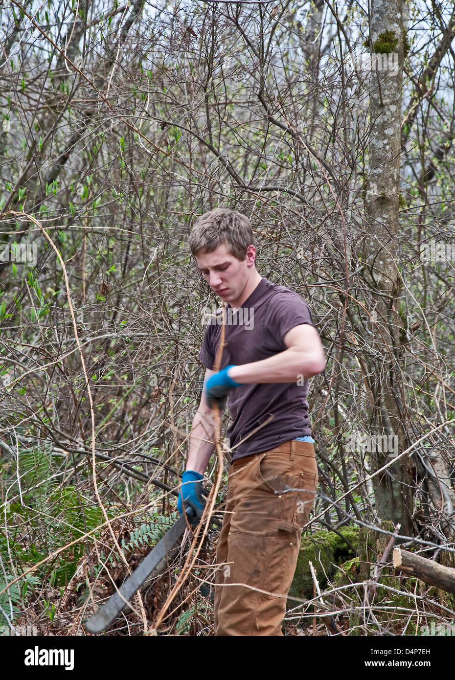 Dieser junge Mann der kaukasischen ist dicken Pinsel und Unterholz von einer dicht bewaldeten Wachstumsbereich clearing mit einer Machete Messer. Stockfoto