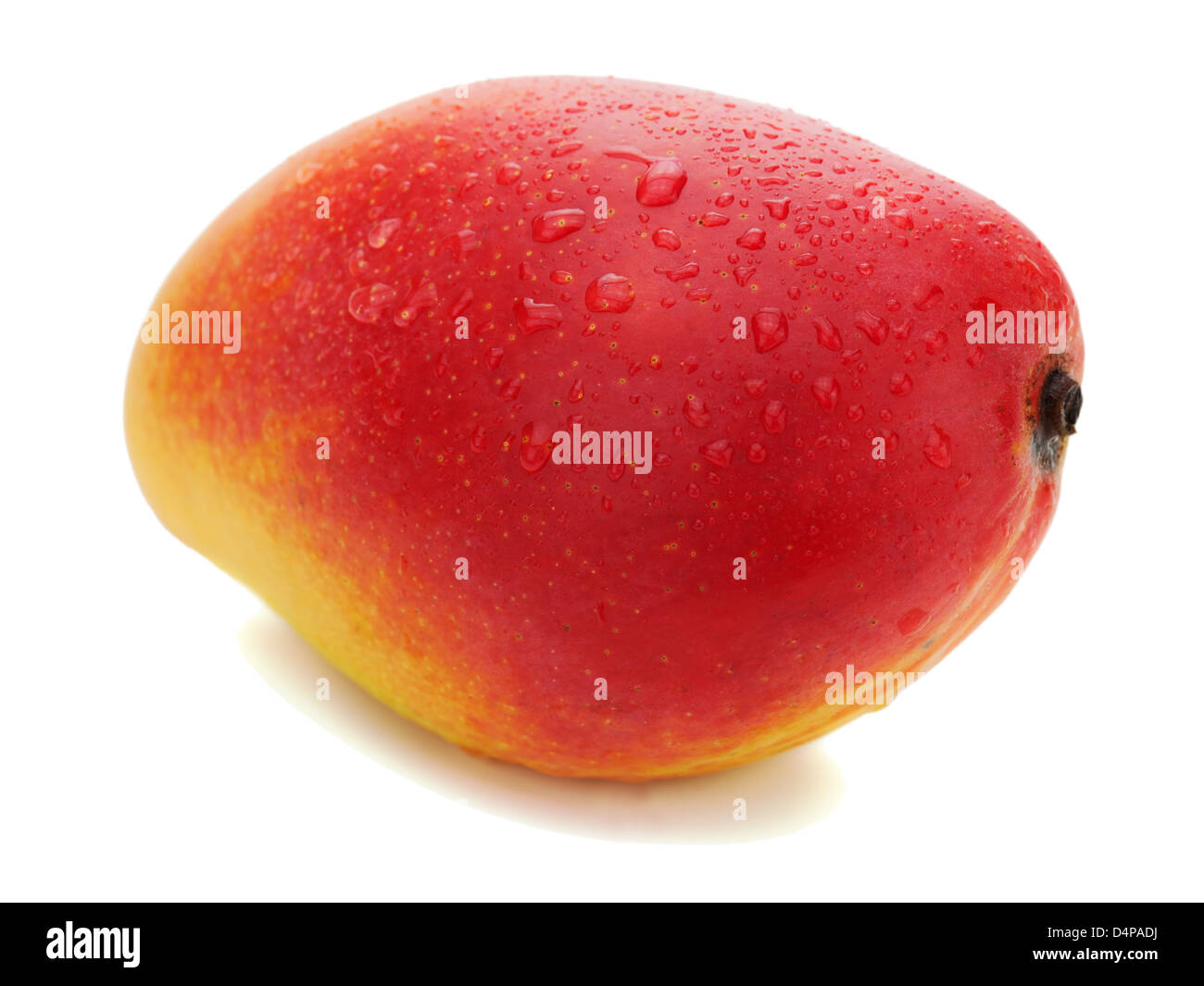 Frische Mango-Frucht isoliert auf weißem Hintergrund. Stockfoto
