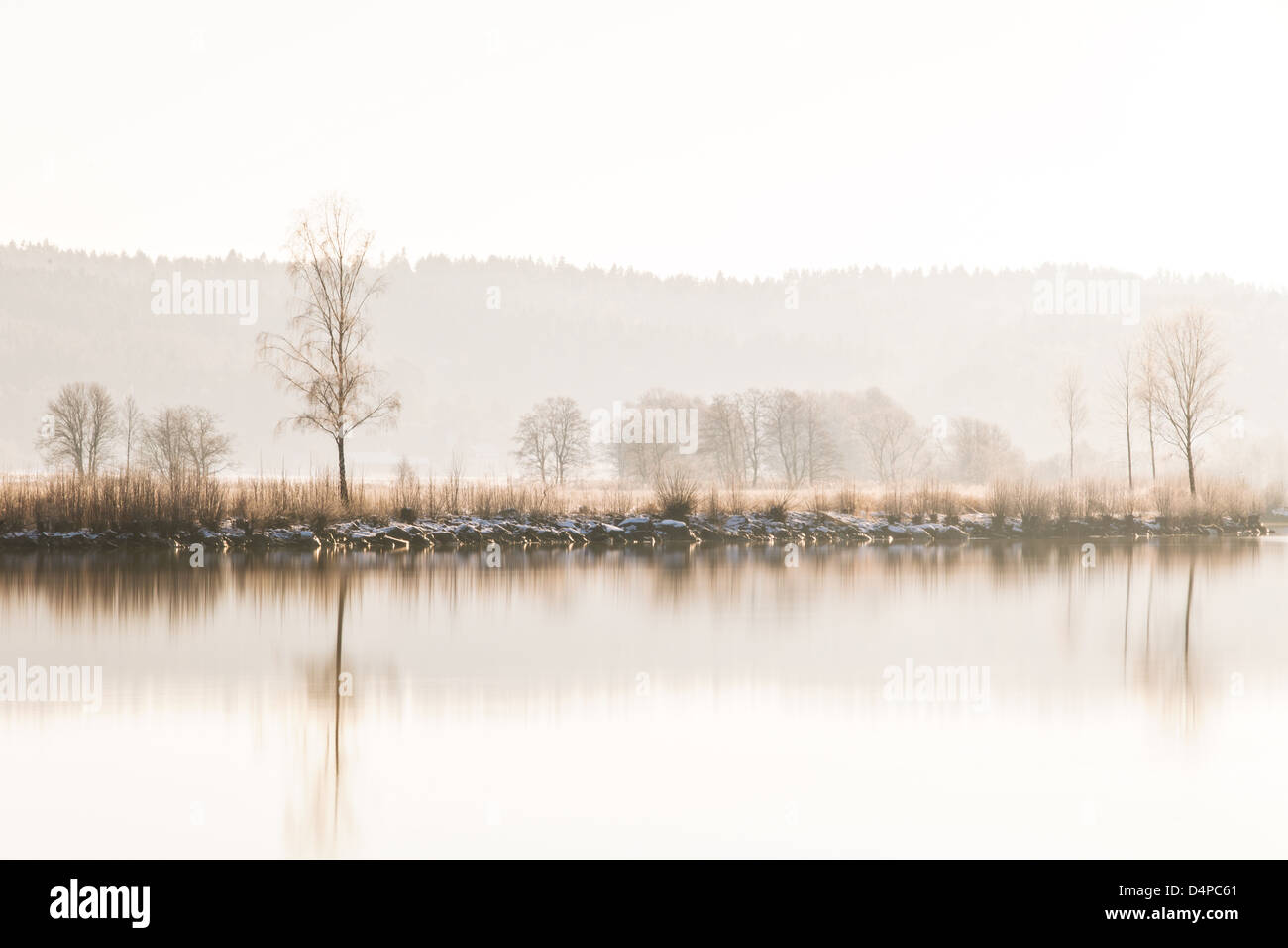 Winterbäume am Flussufer, Göta Älv, Schweden, Europa Stockfoto