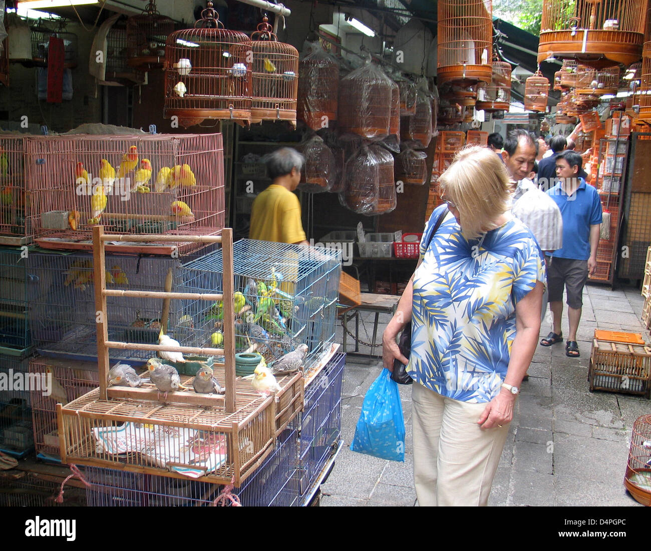 (Datei) - die Datei Bild vom 25. Oktober 2008 zeigt Sittiche engstem in Käfigen auf den Vogelmarkt im Stadtteil Kowloon in Hong Kong, China. Der Markt ist sehr beliebt und ein Treffpunkt für Vogelliebhaber. Foto: Frank-Baumgart Stockfoto