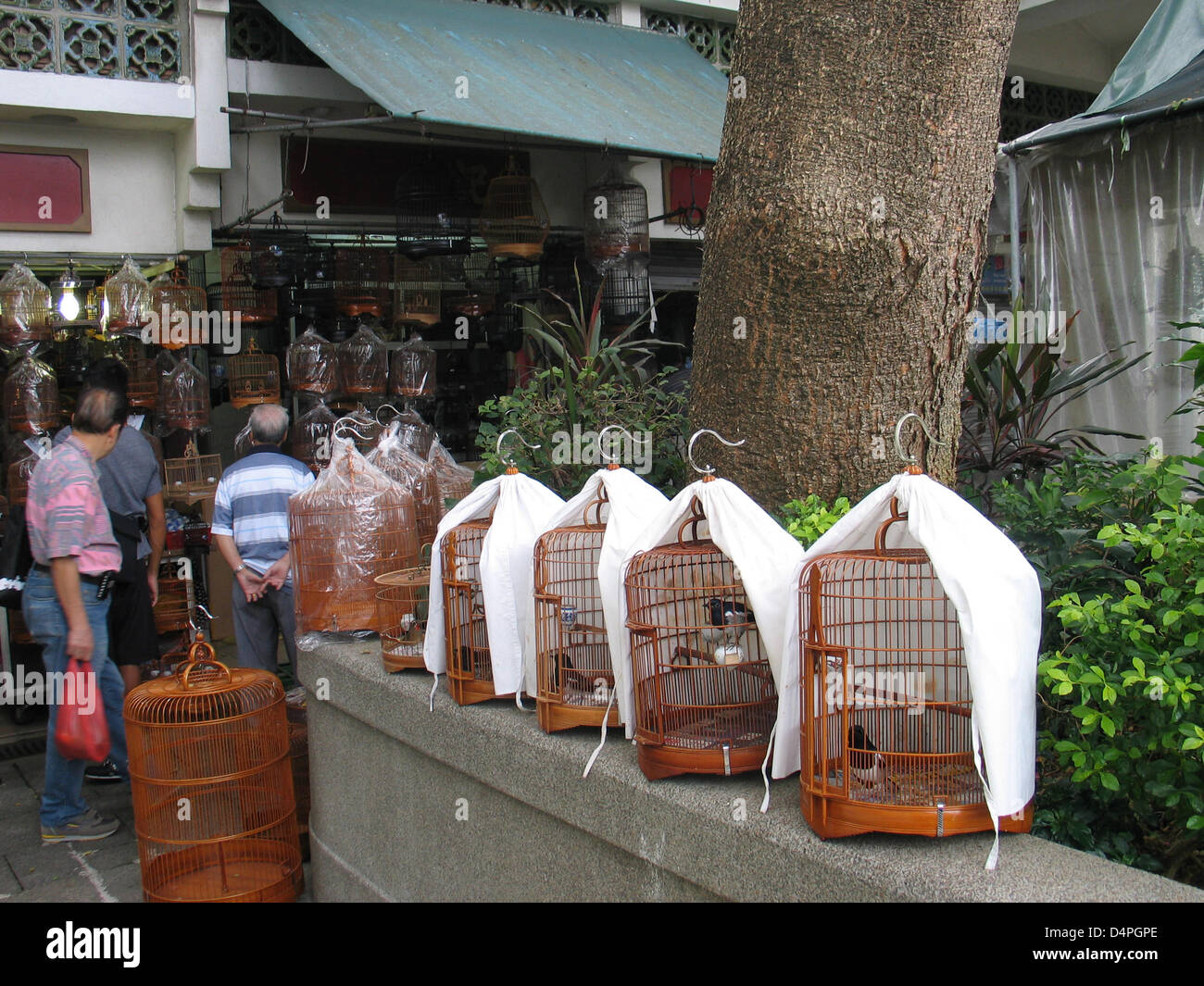 (Datei) - die Datei Bild datiert 25. Oktober 2008 zeigt den Vogel Markt im Stadtteil Kowloon in Hong Kong, China. Der Markt ist sehr beliebt und ein Treffpunkt für Vogelliebhaber. Foto: Frank-Baumgart Stockfoto