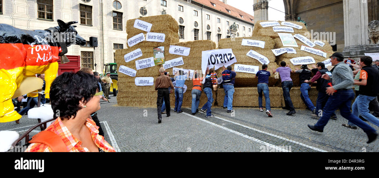 Bauern reißen symbolisch eine Mauer von streunenden in München, Deutschland, 24. September 2009. Der Bundesverband deutscher Milchviehhalter forderte der Protest gegen die niedrigen Milchpreise. Foto: Peter Kneffel Stockfoto