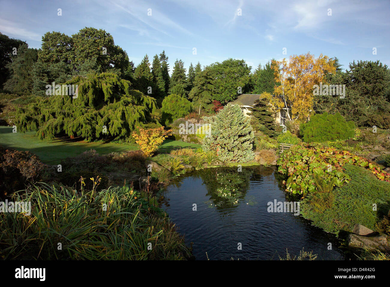 Königlicher Botanischer Garten Stockfoto