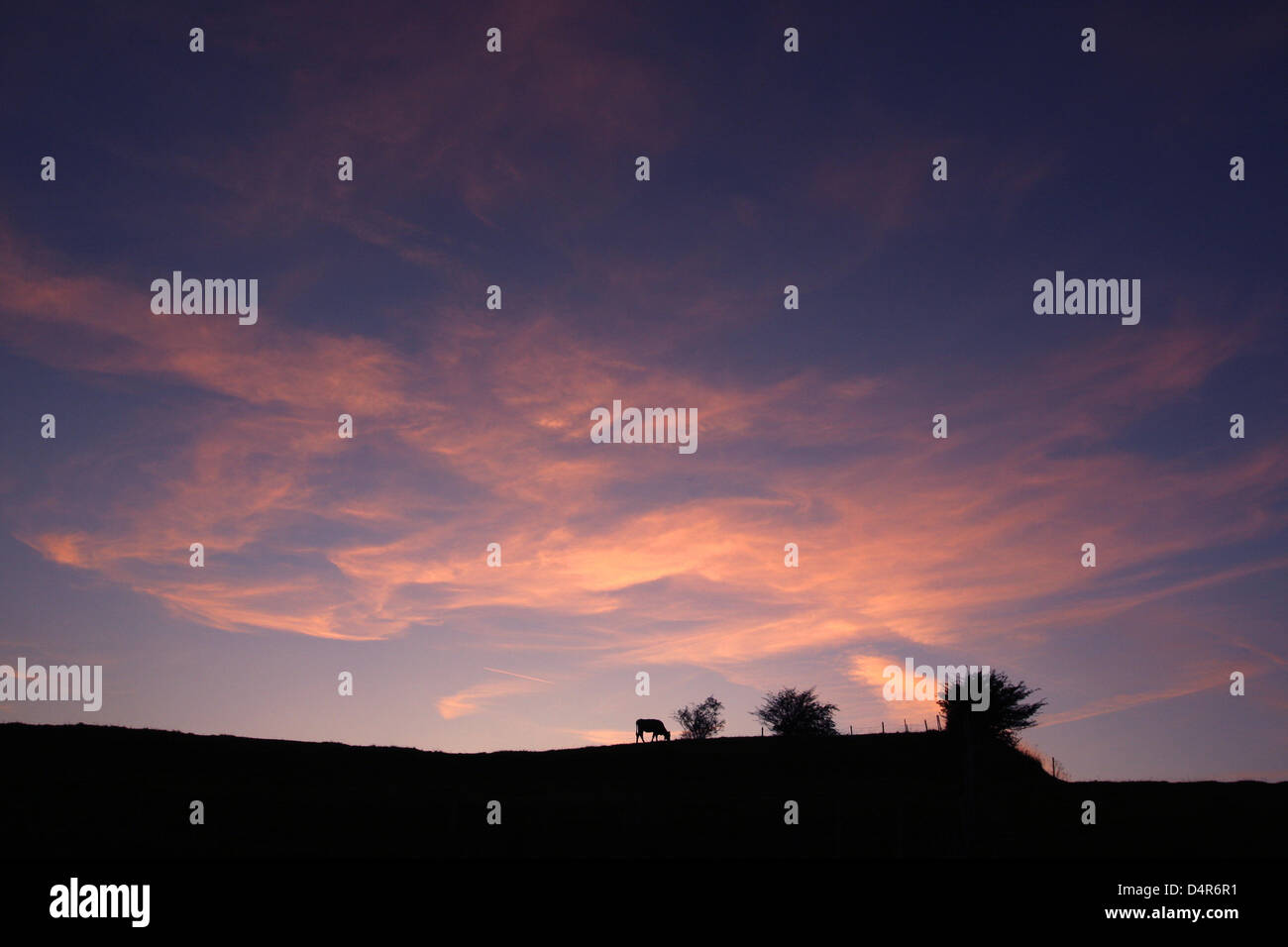 Dämmerung legt nahe Huttenwang, Deutschland, 29. September 2009. Foto: Karl-Josef Hildenbrand Stockfoto