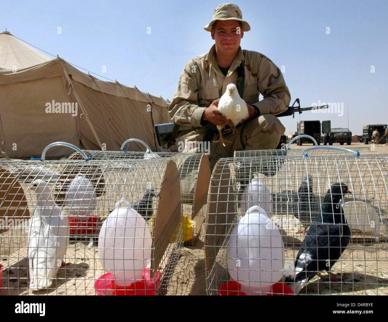 US Marine Sergeant Jeremy Riglesberger hält die letzten Überlebende Huhn, Thunder, in seinen Händen am 16. März 2003, am Camp Coyote in der Wüste von Kuwait. Käfige mit Tauben stehen vor ihm. Donner ist der letzte der 60 Hühner. Die Tiere erhielten tatsächlich zu den Marines, weil sie schneller über chemische Waffen reagieren. Leider konnte sie nicht mit dem Wetter in der Wüste und 59 starb befassen. Unterdessen haben Tauben die Aufgabe übernommen, um die Soldaten des bevorstehenden Vergiftungen zu warnen. Die Marines warten, etwa 50 Kilometer von der Grenze Kuwait und Irak für Bestellungen o Stockfoto