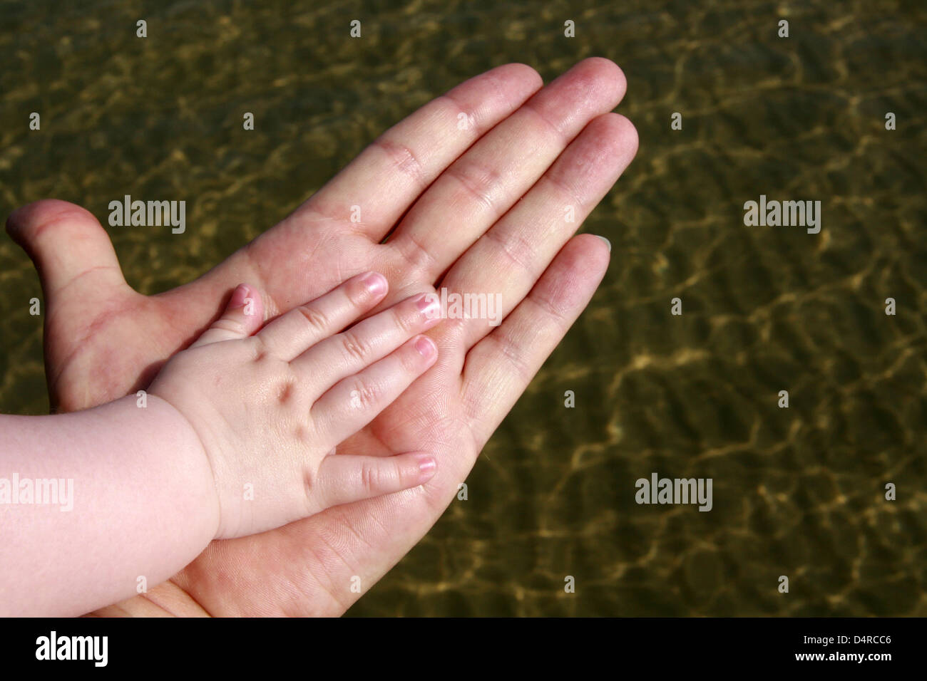 Ein Baby? s Rechte Hand liegt auf einem gewachsenen? s linke Hand, irgendwo in Italien, 5. Juli 2009 dargestellt. Foto: Lars Halbauer Stockfoto