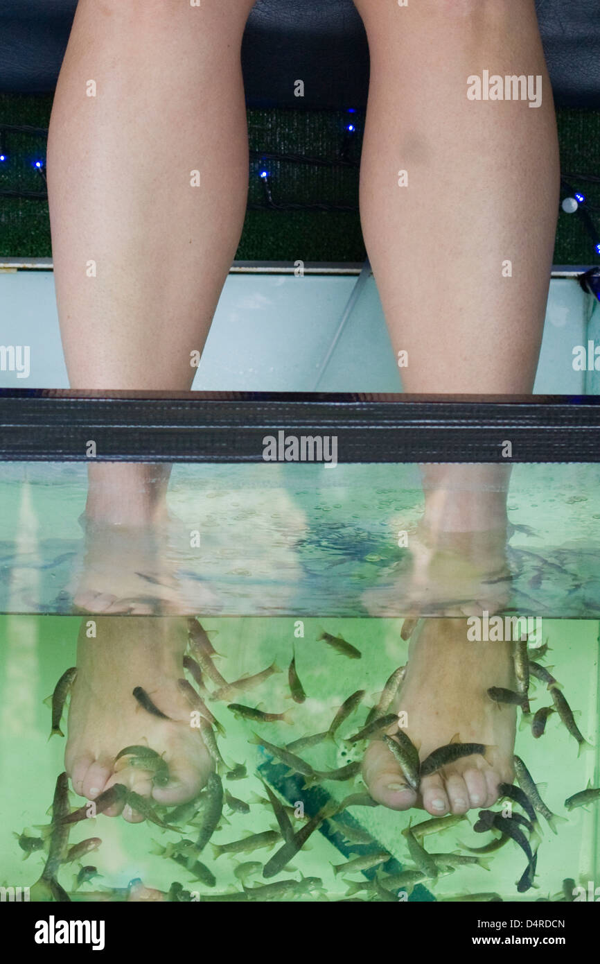 Fisch-Therapie beim Fairport Convention Festival Stockfoto