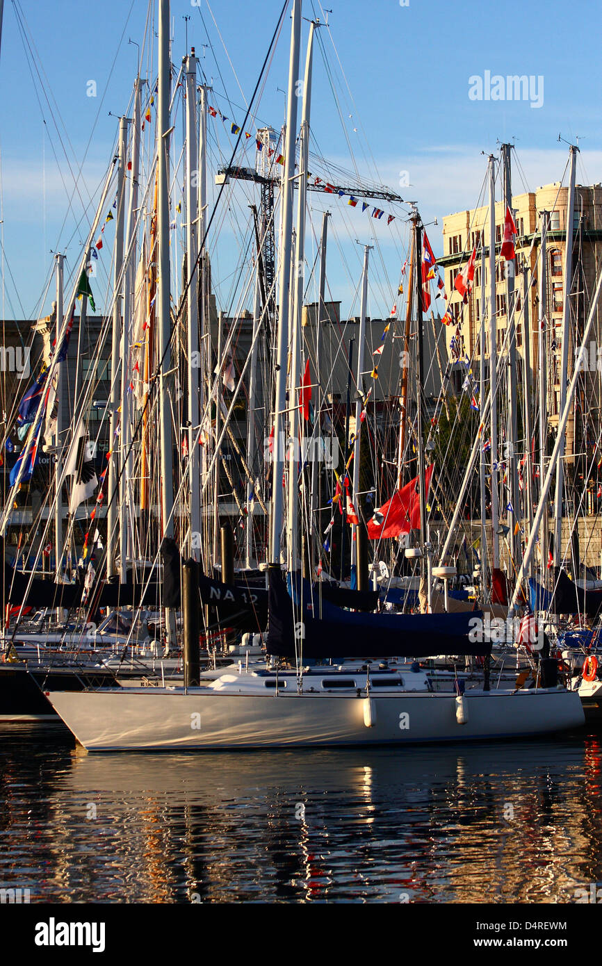 Viele Segelboot Masten in den Hafen von Victoria, Britisch-Kolumbien, Kanada Stockfoto