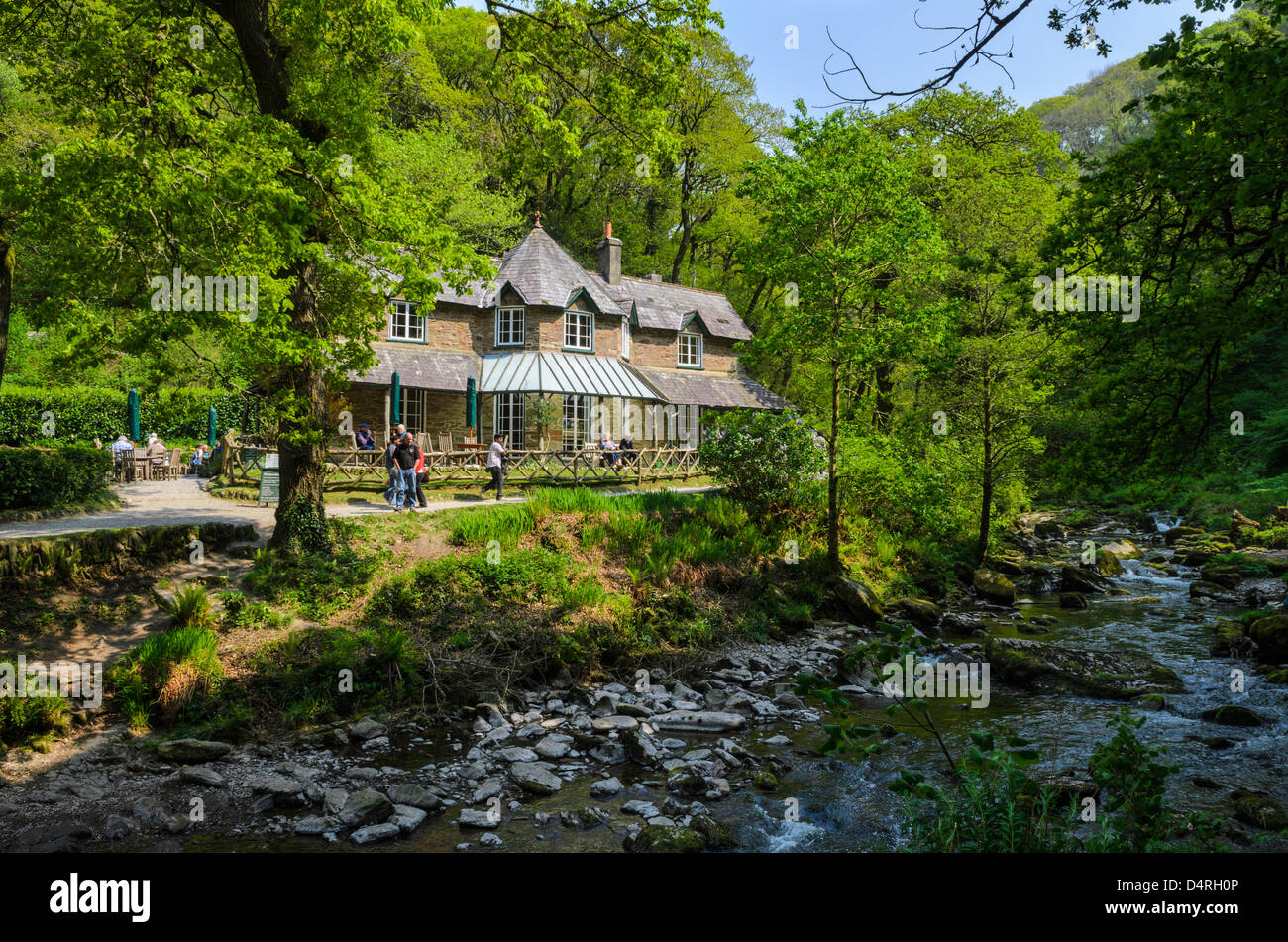 Watersmeet House Teestube am Ufer des East Lyn River in der Nähe von Lynmouth, Devon, England. Stockfoto