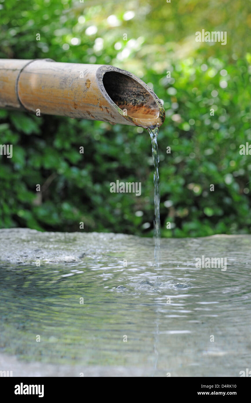 Japanische Bambus-Brunnen mit Wasser tropft von der Schnauze Stockfoto