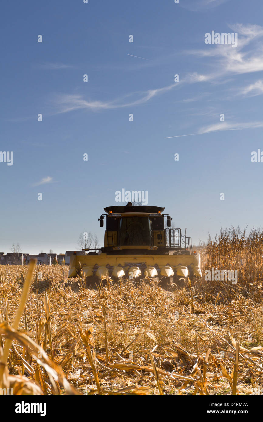 Mais Ernte Maschinen in den Vororten von Indianapolis. Stockfoto