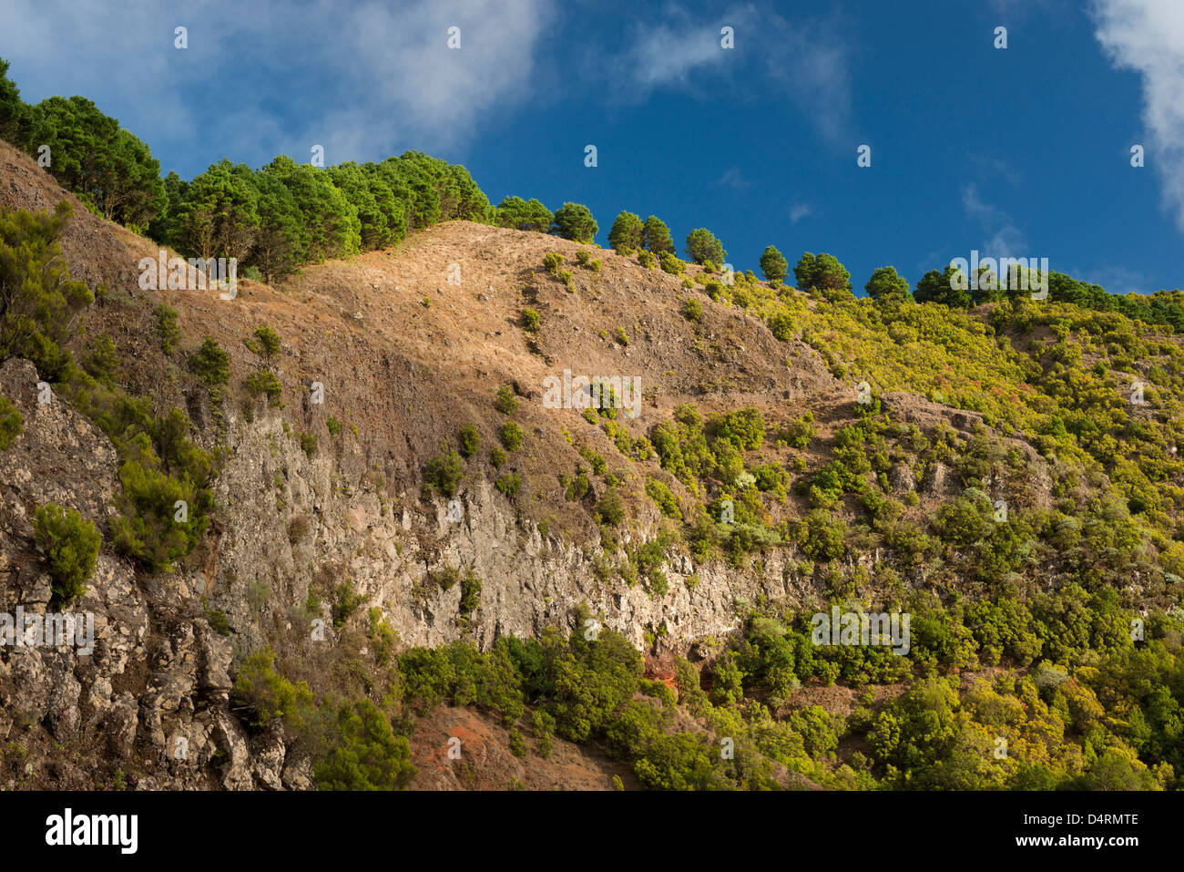 Gorreta Fotos und Bildmaterial in hoher Auflösung Alamy