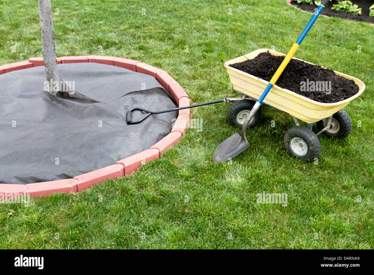 Mulch wartet darauf, in den Warenkorb deponiert werden. Unkraut-Barriere ist schön angelegt, um den Baum mit Einfassung Ziegel. Stockfoto