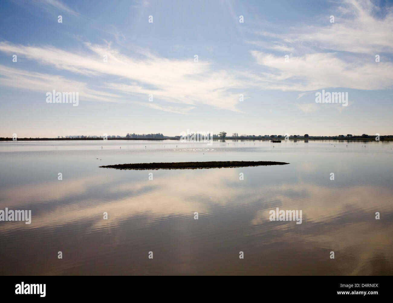 SPANIEN, HUELVA, ALMONTE, EL ROCIO, MARSCHLAND VON DOÑANA NATIONALPARK Stockfoto
