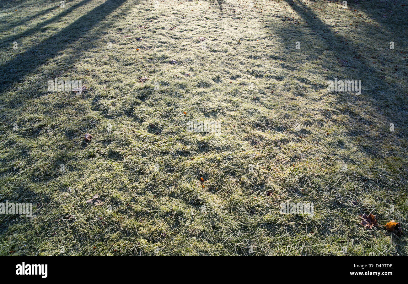 Frostigen Rasen Stockfoto