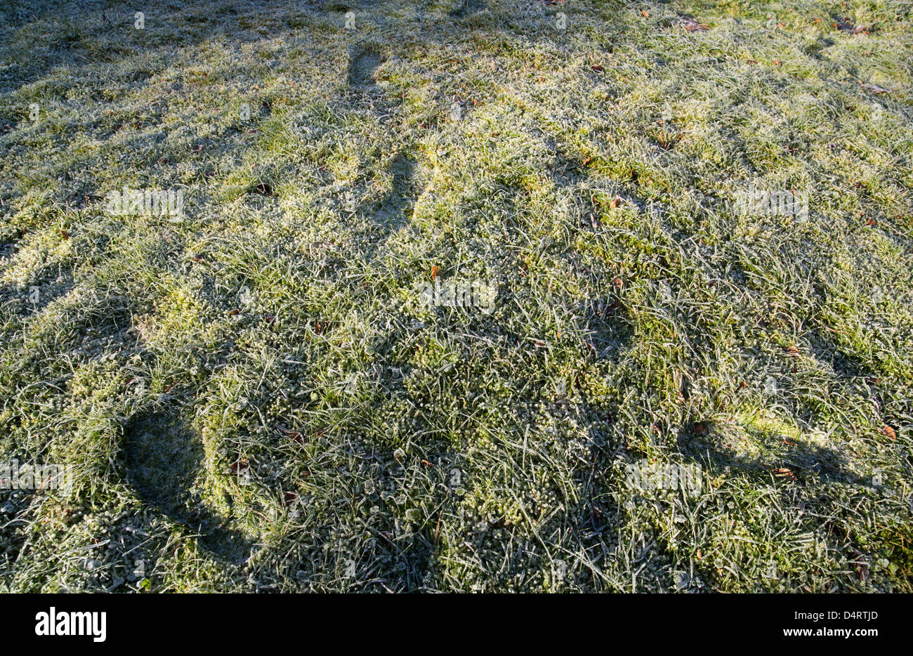 Spuren auf frostigem gras Fotos und Bildmaterial in hoher Auflösung