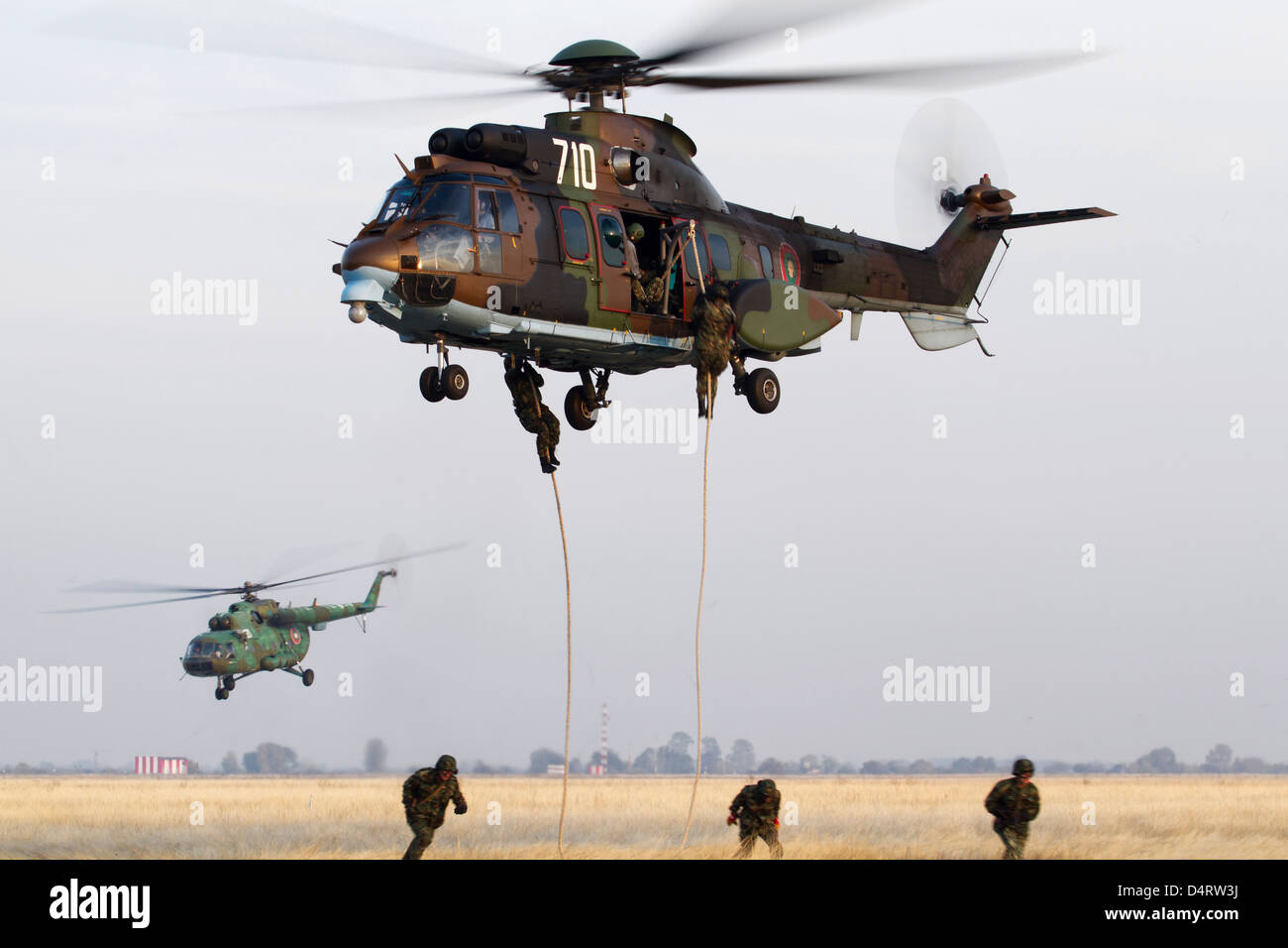 Eurocopter AS532AL Cougar schnell Seil Training mit bulgarischen Spezialeinheiten. Stockfoto