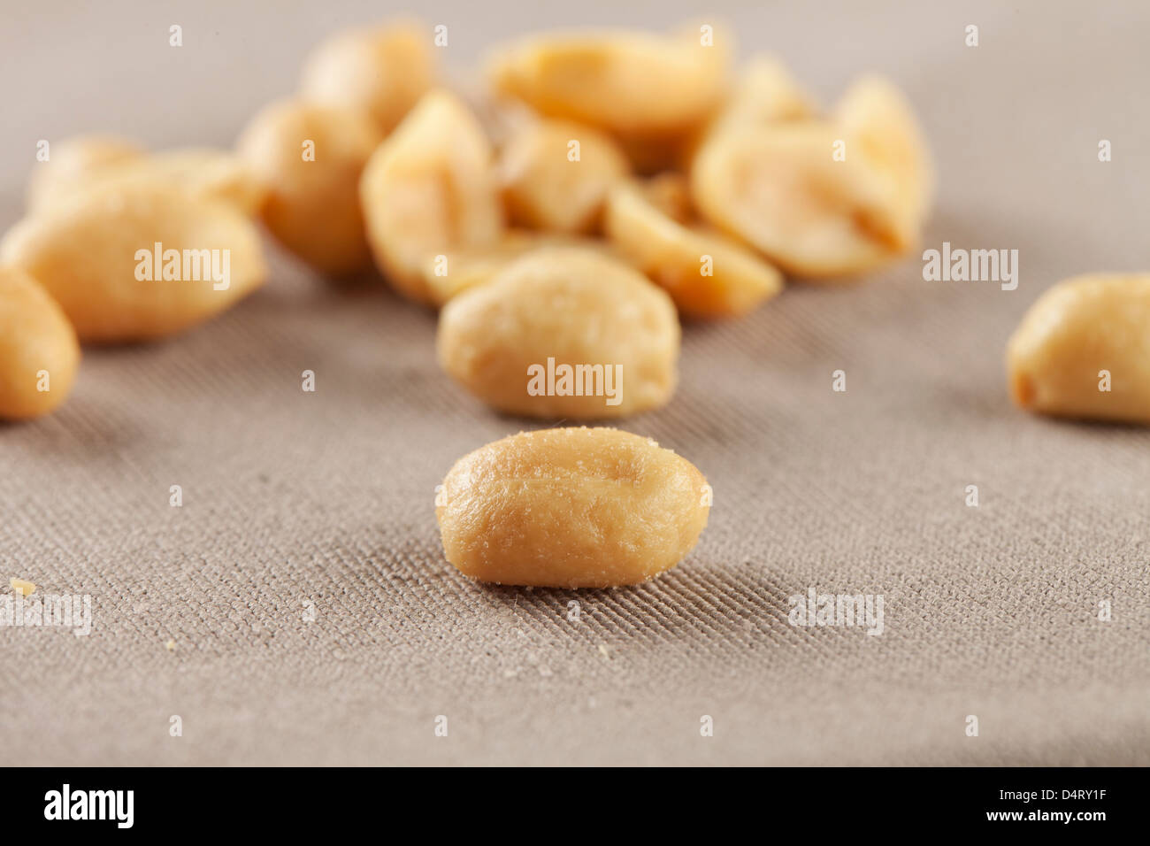 Nahaufnahme von einer Erdnuss mit anderen Erdnüssen auf der Rückseite Stockfoto
