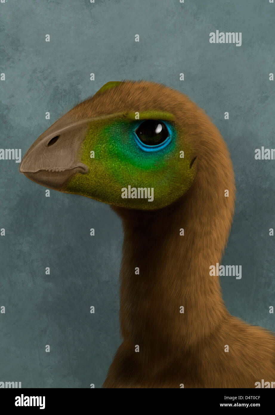 Hypsilophodon foxii Fotos und Bildmaterial in hoher Auflösung Alamy