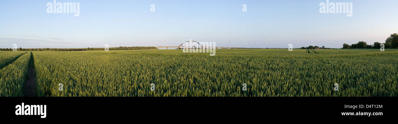 Der Fehmarn Sund Brücke bei Strukkamphuk Strukkamphuk, Deutschland Stockfoto