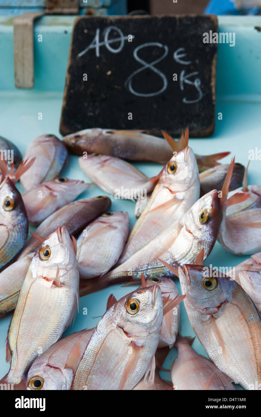 Frischer Meeresfisch auf dem Fischmarkt in Marseille, Frankreich Stockfoto