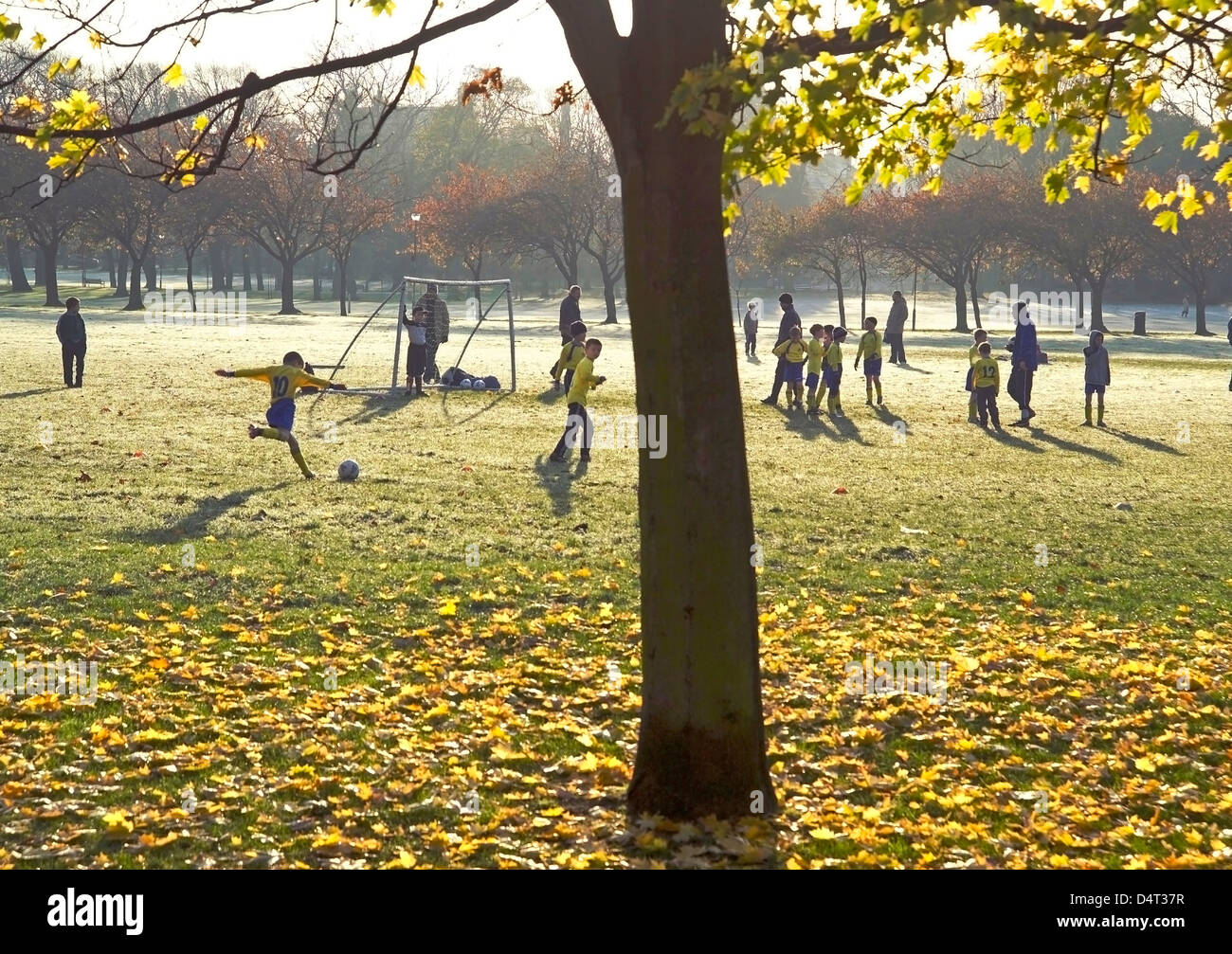 Bäume im frostigen Morgen mit junior Fußball gespielt auf den Wiesen Stockfoto