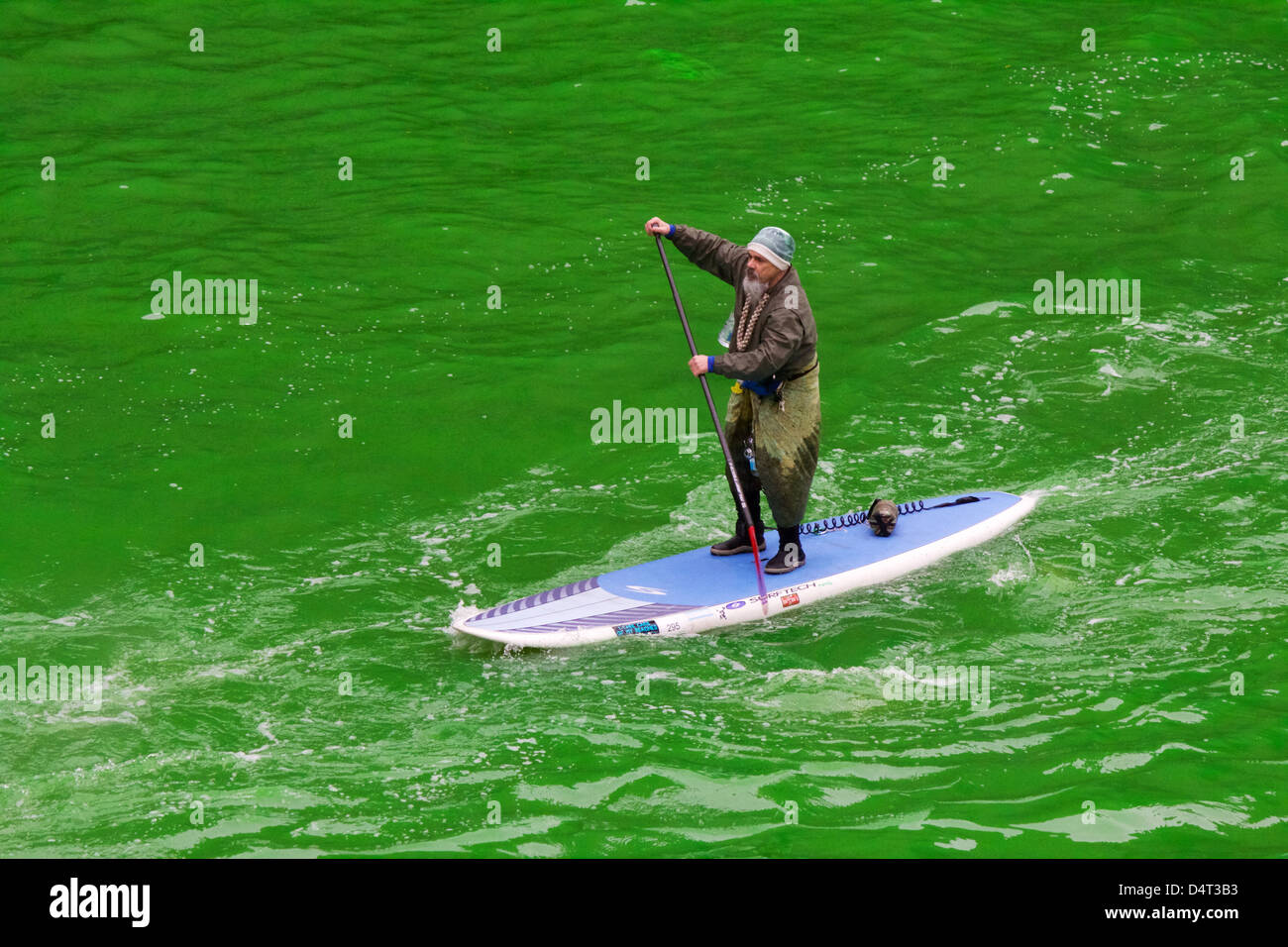 Ungewöhnlich gekleidet Mann ein Surfbrett auf dem Chicago River paddeln, für St. Patricks Day grün gefärbt Stockfoto