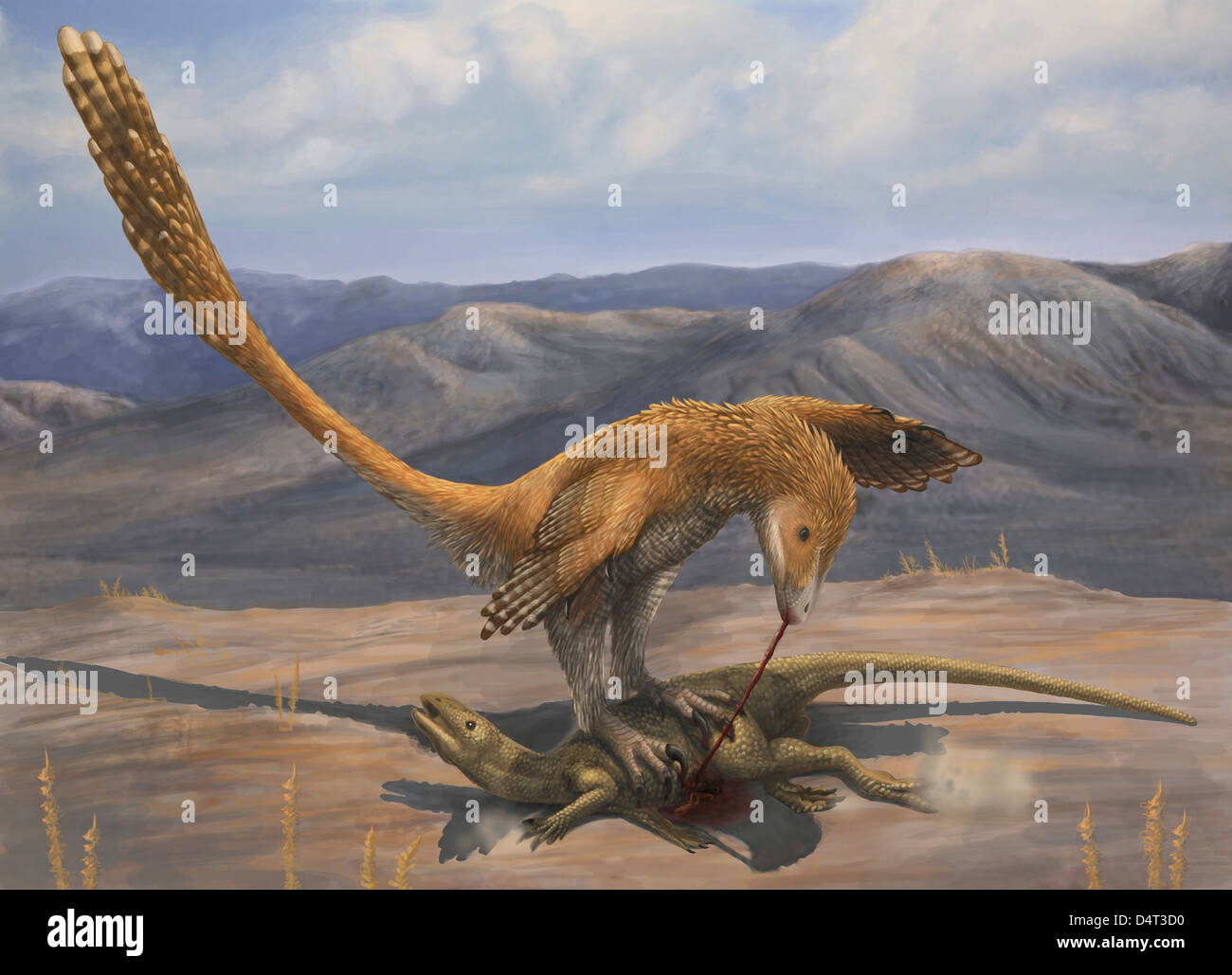 Ein Deinonychus ernährt sich von der Karkasse des Zephyrosaurus, eine kleine Unterkreide Ornithopod. Stockfoto