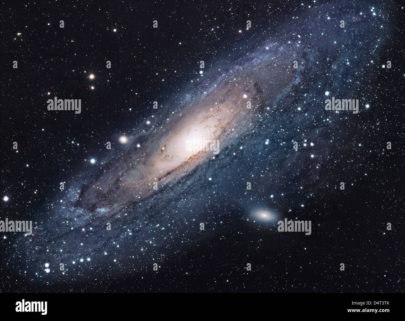 Die Andromeda-Galaxie Stockfoto