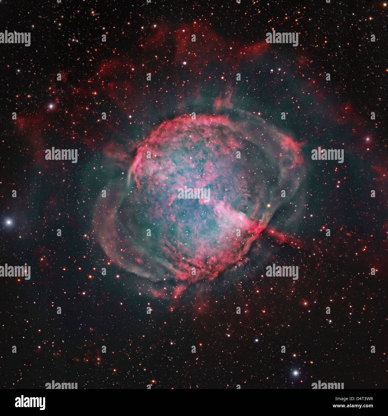 Messier 27, die Hantel-Nebel, ein planetarischer Nebel in Bürgervereinigungen. Stockfoto
