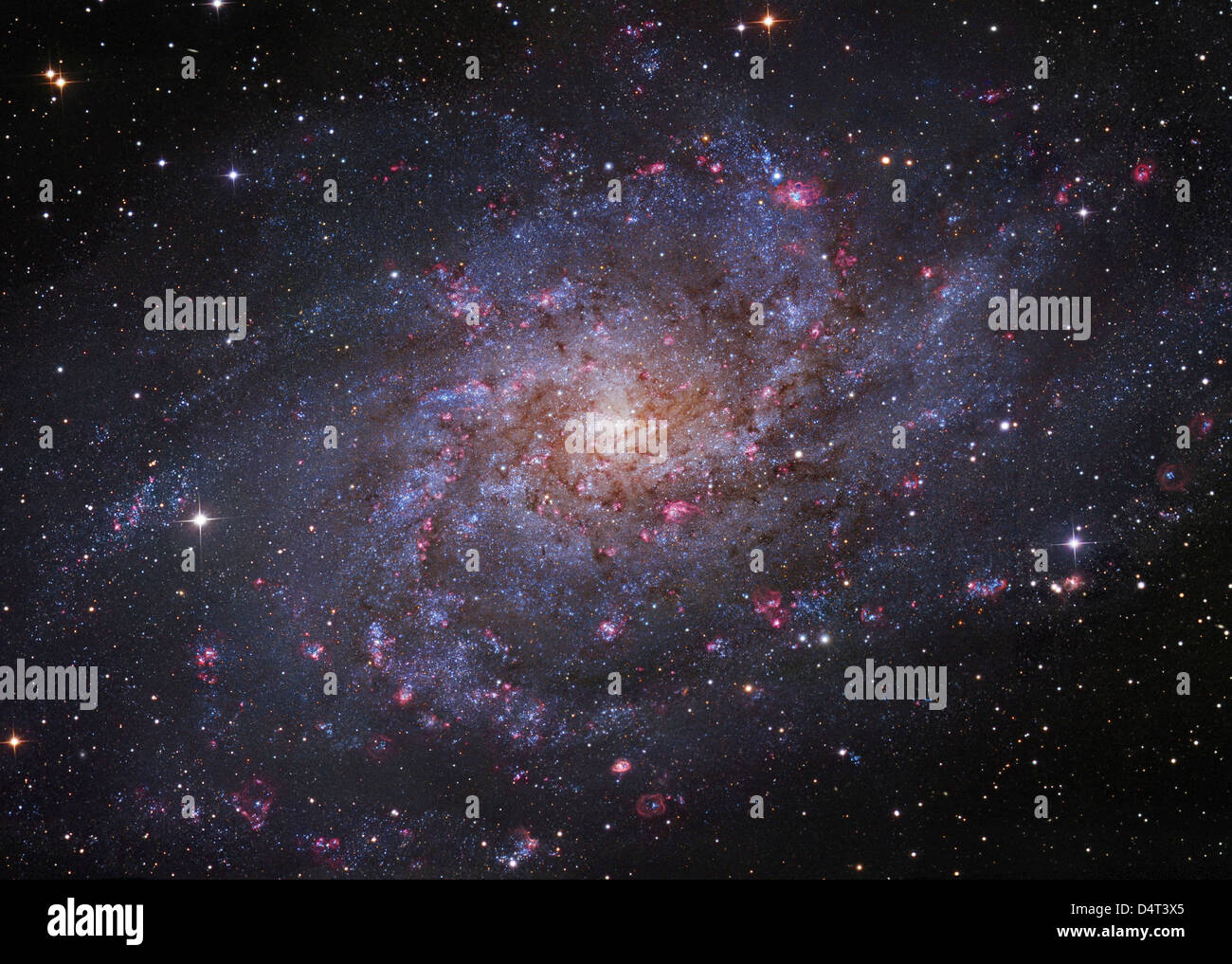 Messier 33, Spiralgalaxie im Triangulum. Stockfoto