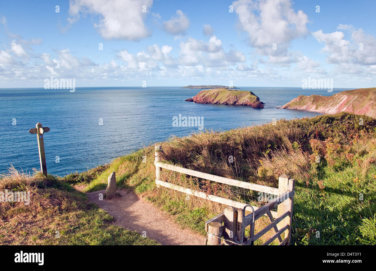 Pembrokeshire Küstenweg an Marloes Sands Pembrokeshire Coast National Park Wales im Spätsommer Stockfoto