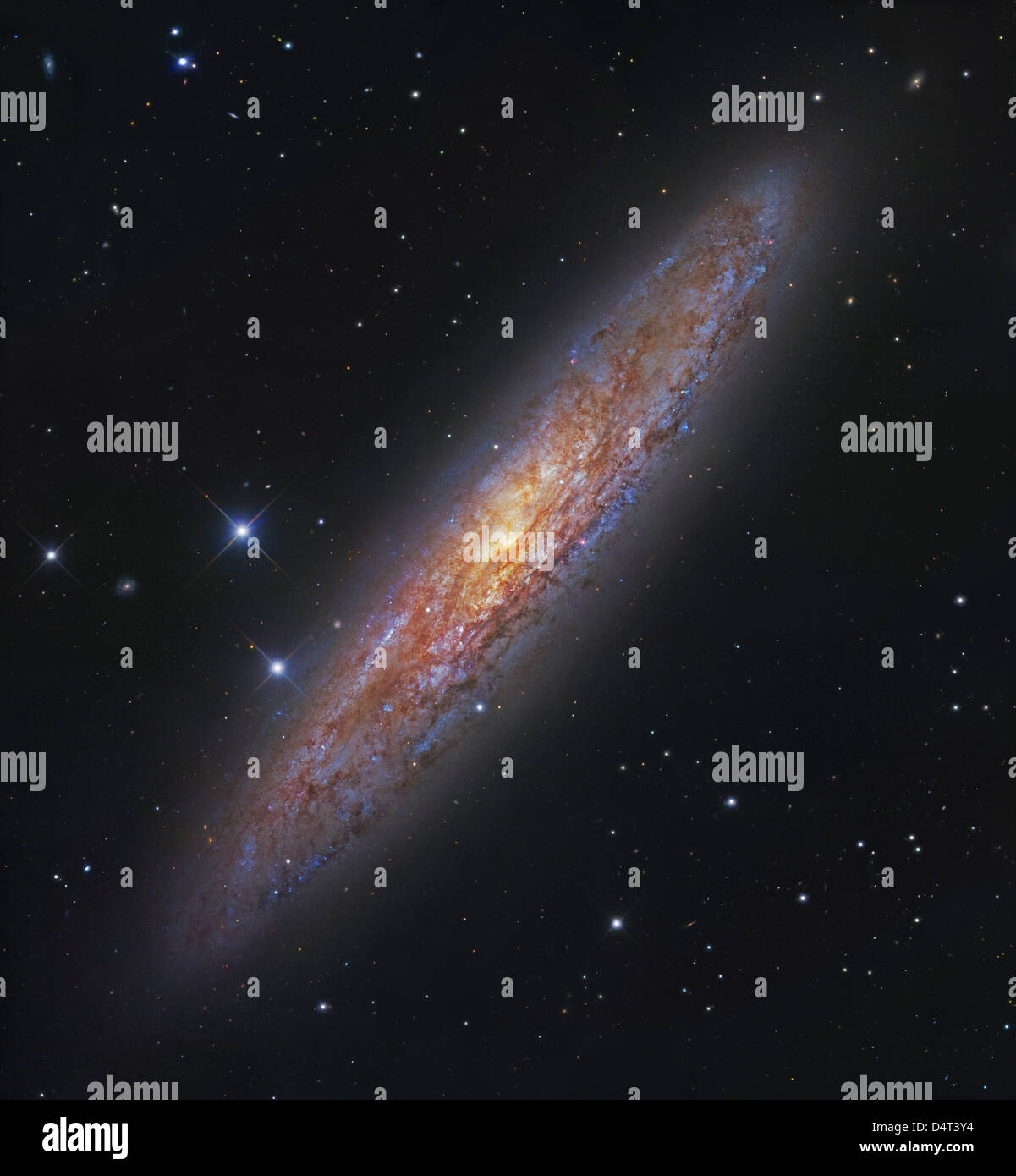 NGC 253, eine seitliche Spiralgalaxie in Bildhauer. Stockfoto