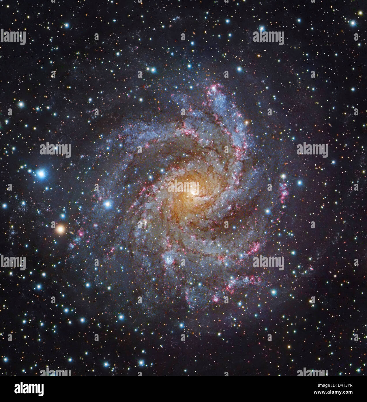 NGC 6946, eine Spiralgalaxie im Cepheus. Stockfoto