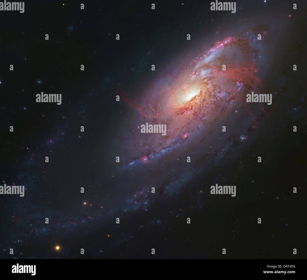 M106, Spiralgalaxie in Canes Venatici. Stockfoto