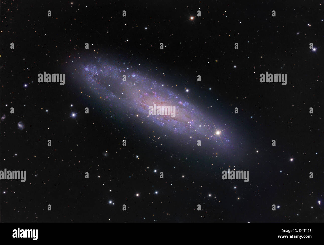 NGC 247, irreguläre Galaxie im Cetus. Stockfoto