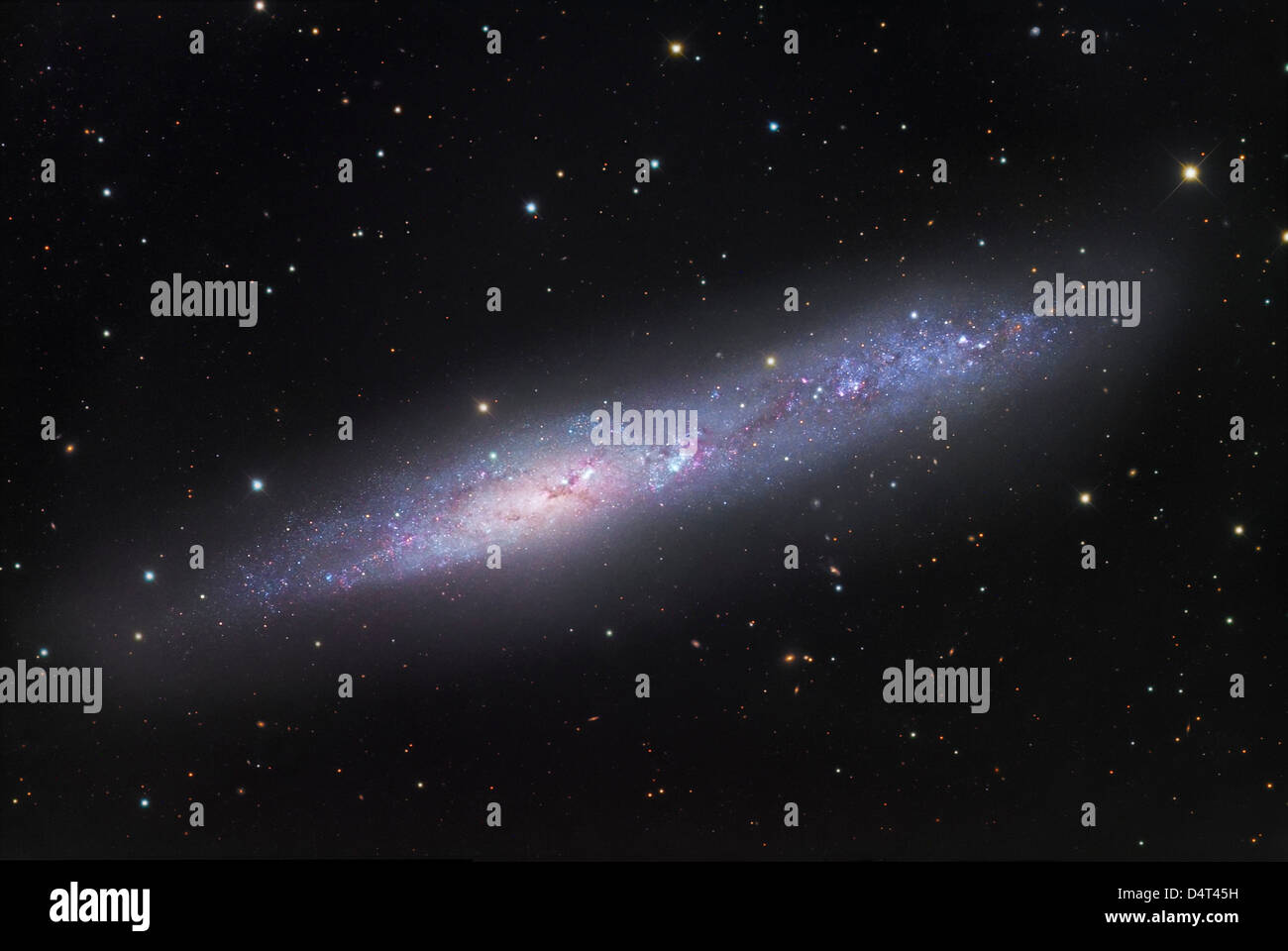 NGC 55, irreguläre Galaxie in Bildhauer. Stockfoto