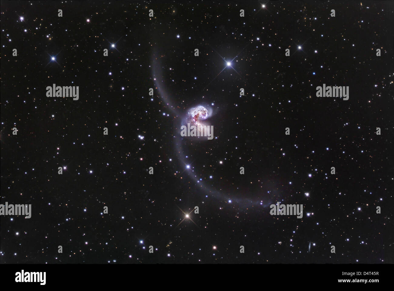 NGC 4038-4039, wechselwirkenden Galaxien in Corvus. Stockfoto