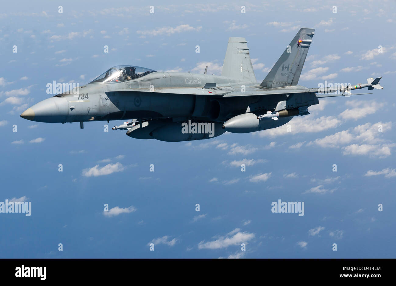 Ein CF-188A Hornet von der Royal Canadian Air Force. Stockfoto