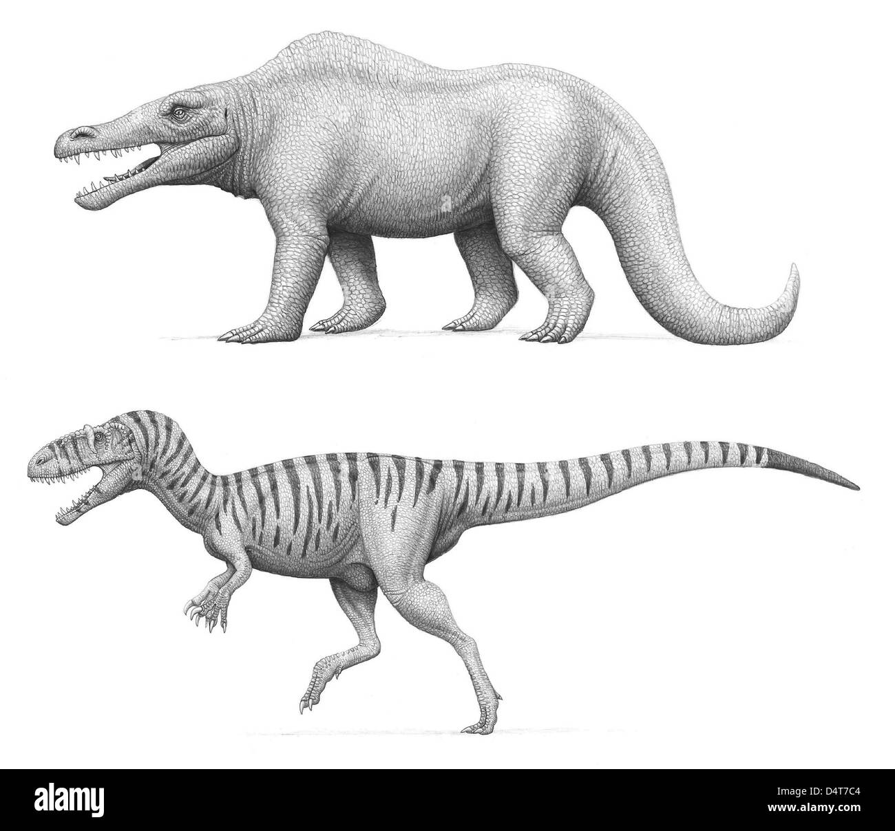 Künstlers Konzept von Megalosaurus Bucklandii, Vergangenheit und Gegenwart. Stockfoto