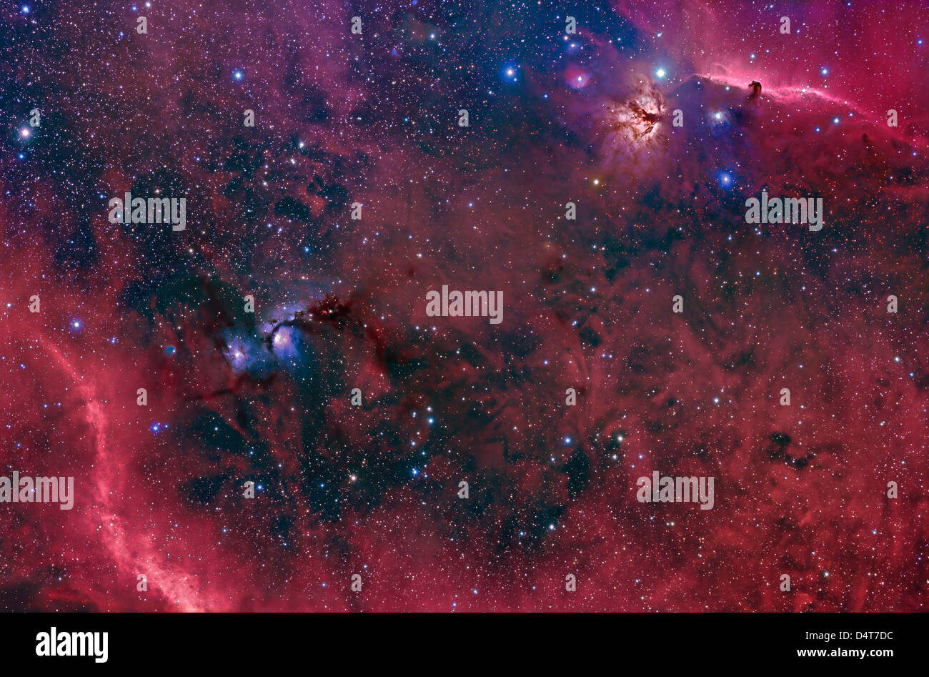Diese Weitfeld-Ansicht im Sternbild Orion enthält der Pferdekopfnebel, Flame-Nebel M78 und Barnard Schleife. Stockfoto