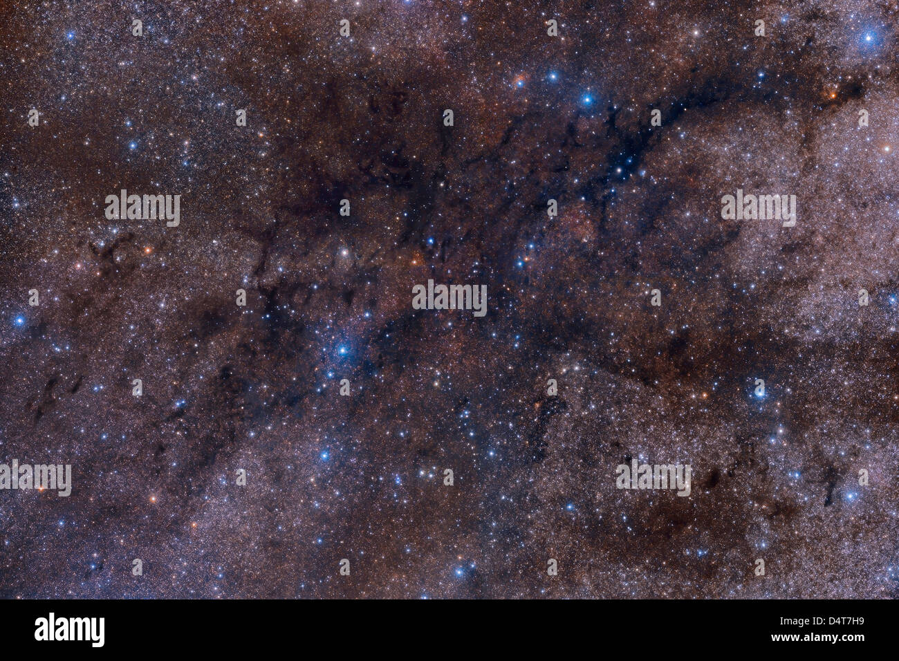 Einen großen dunklen Nebel Komplex, LDN 1003, das zwischen dem Sternbild Cygnus und Cepheus liegt. Stockfoto