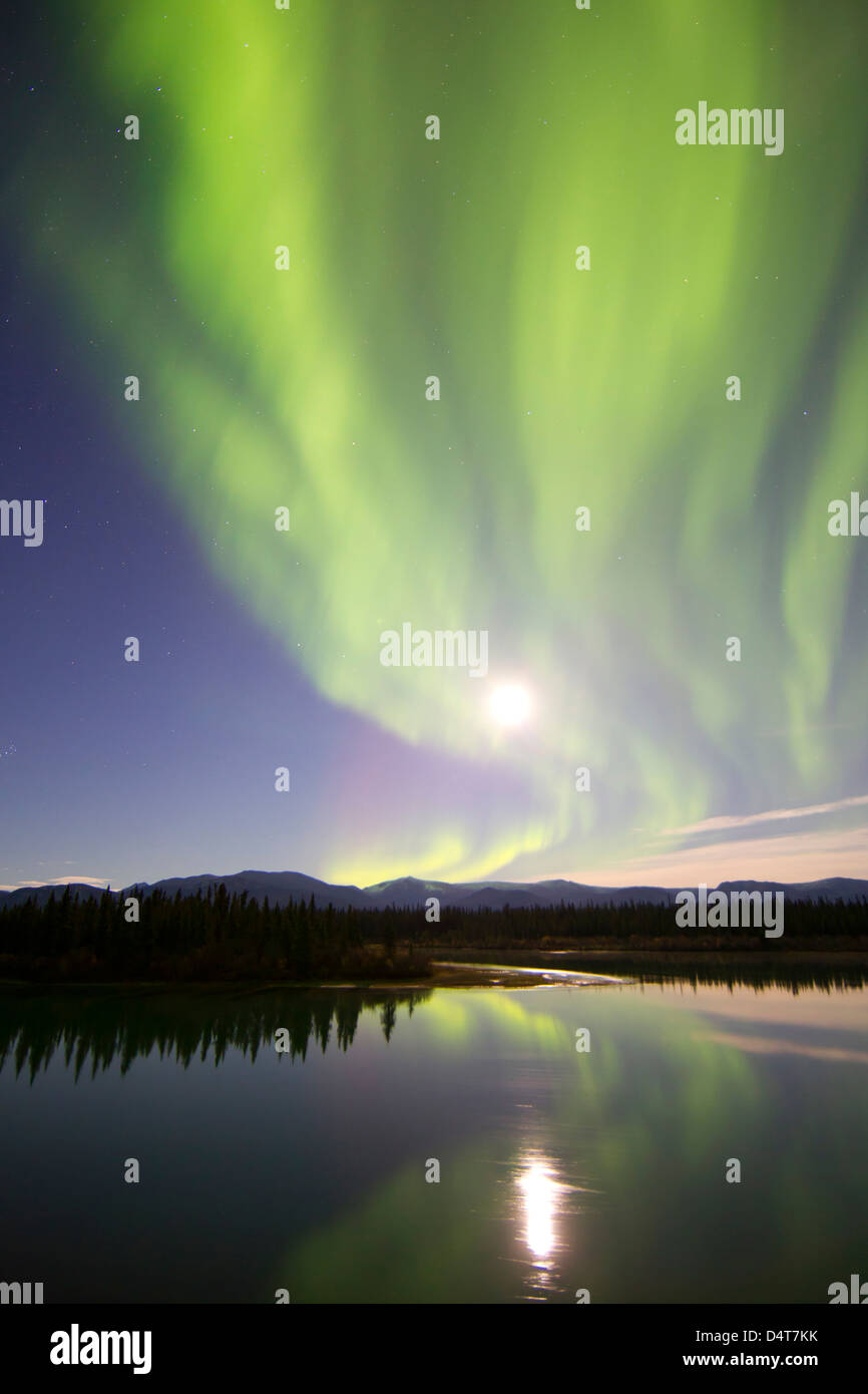 Aurora Borealis und Vollmond über den Yukon River, Whitehorse, Yukon, Kanada. Stockfoto