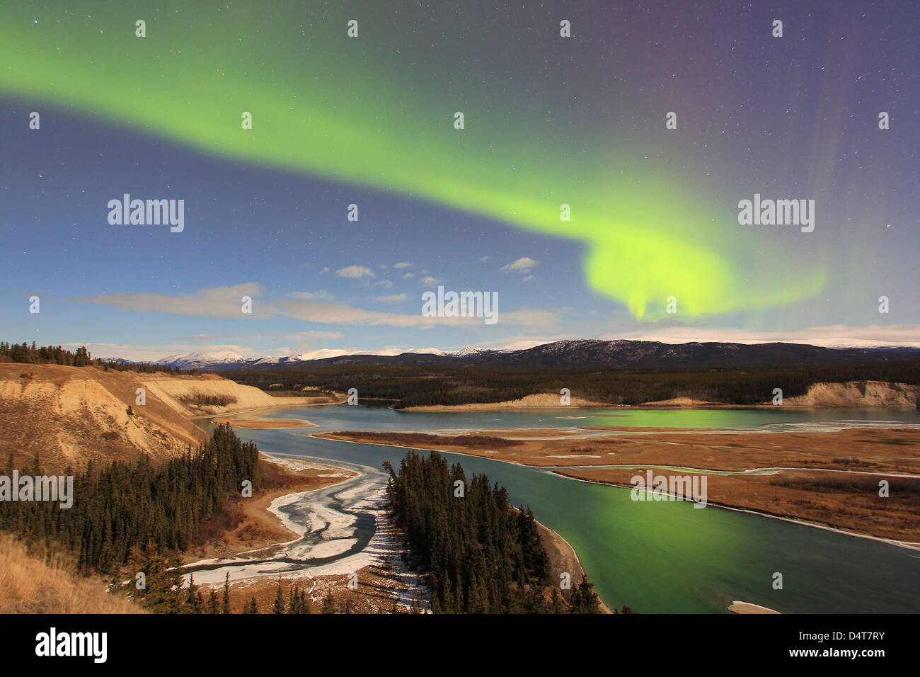 Aurora Borealis über den Yukon River, Whitehorse, Yukon, Kanada. Stockfoto